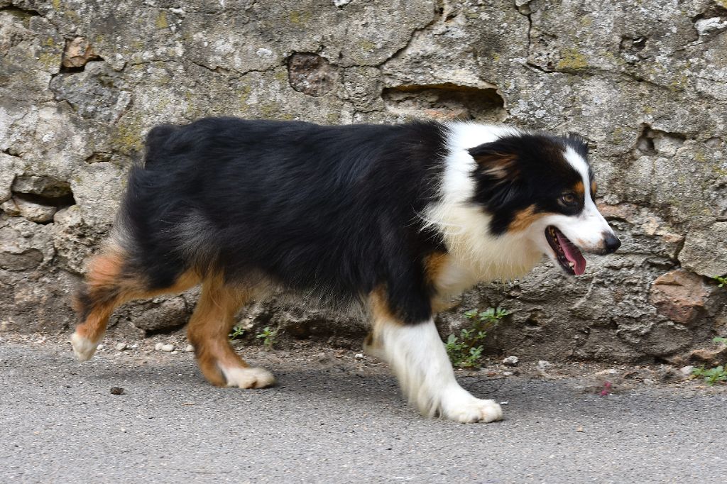 Say a little prayer for you De La Folle Emprise