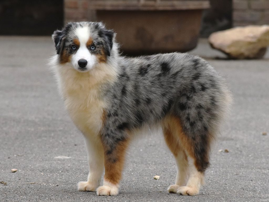 Unlock the magic De La Folle Emprise