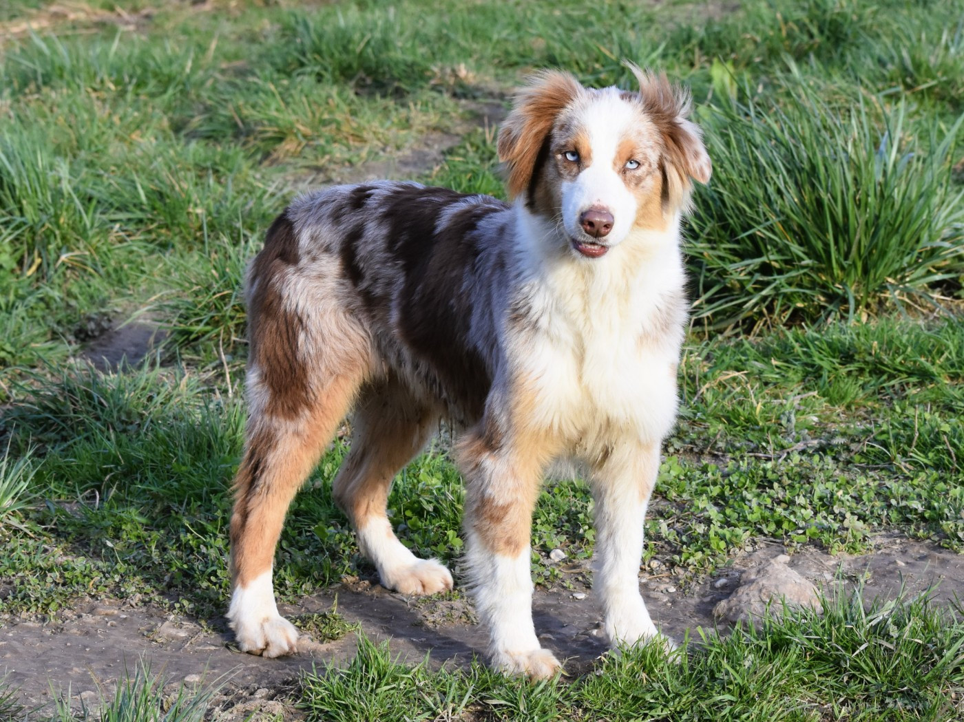 Summer love du Domaine D'Eily