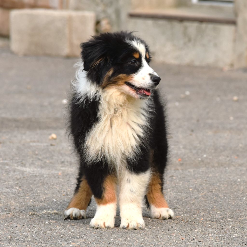 Alaska